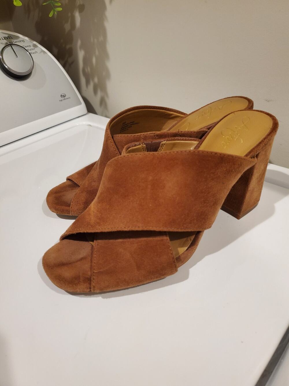 Arturo Chiang Shoes Size 6